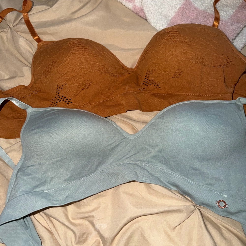 Danskin Intimates Bra Set - Brown an Blue/Gray 34C